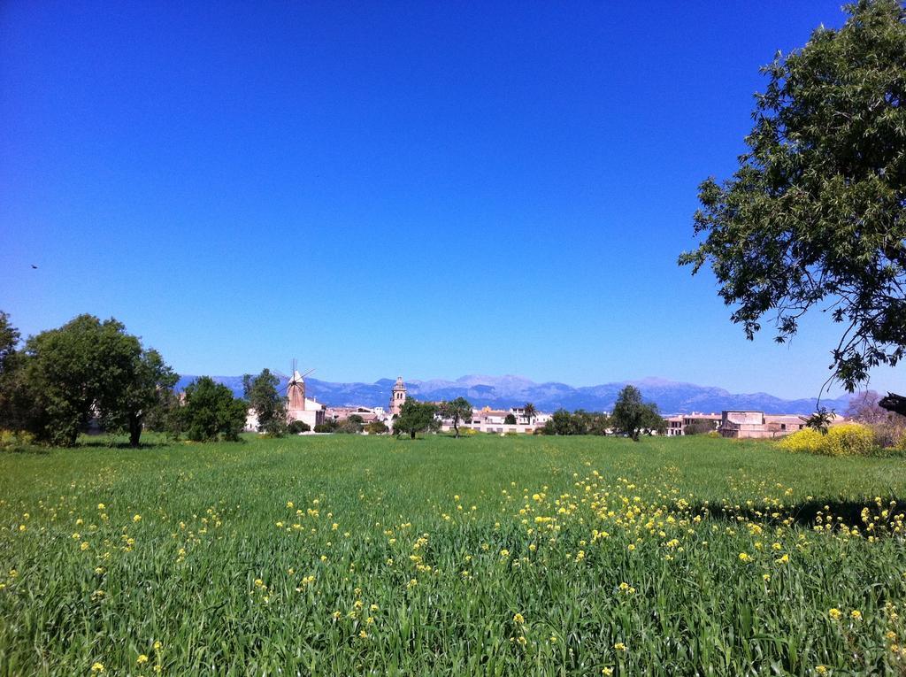 Bed & Breakfast Raims Algaida (Mallorca)
