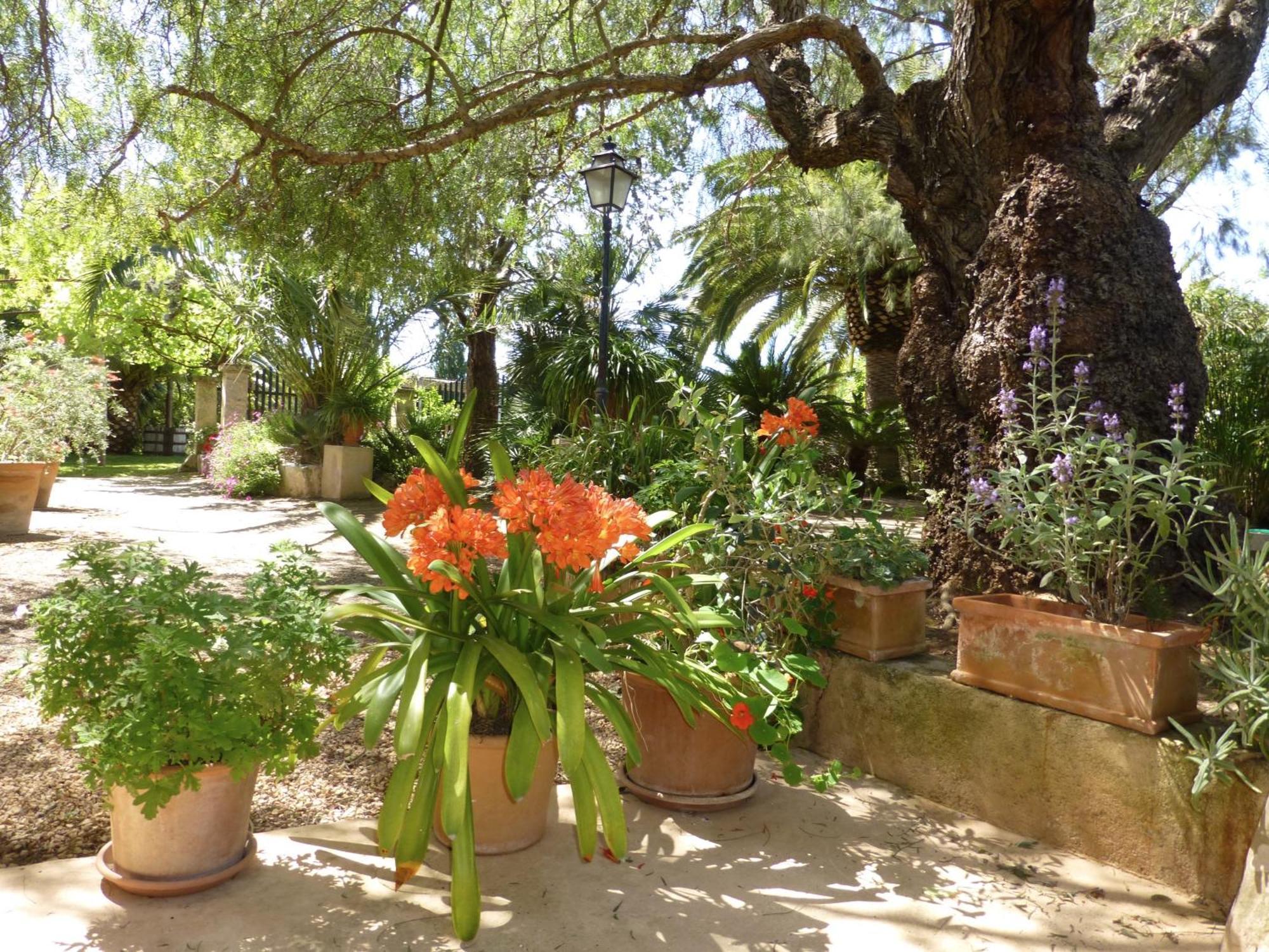 Raims 4* Algaida (Mallorca)